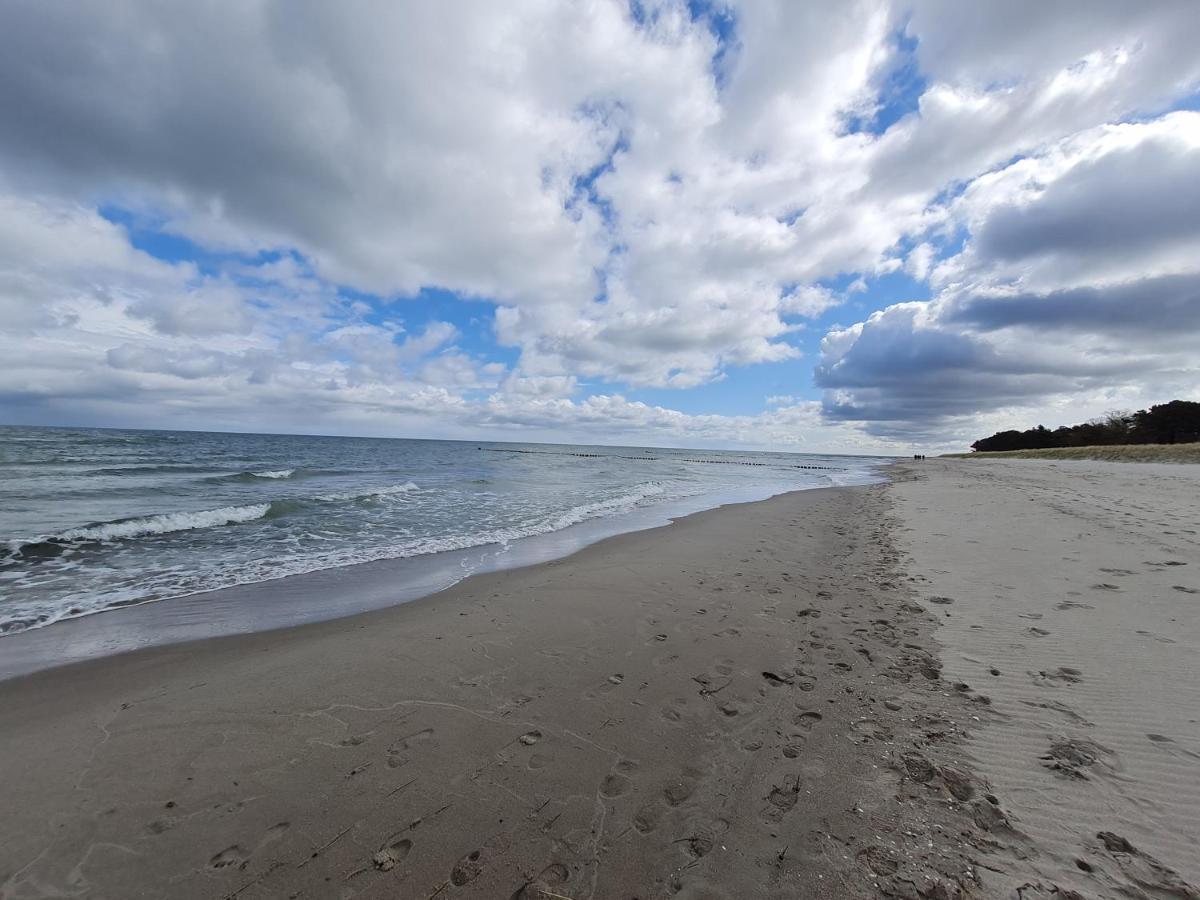 Zingst Achtern Diek 12D Elly ภายนอก รูปภาพ