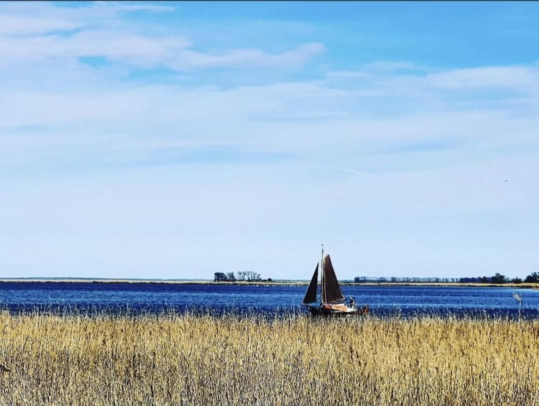 Zingst Achtern Diek 12D Elly ภายนอก รูปภาพ