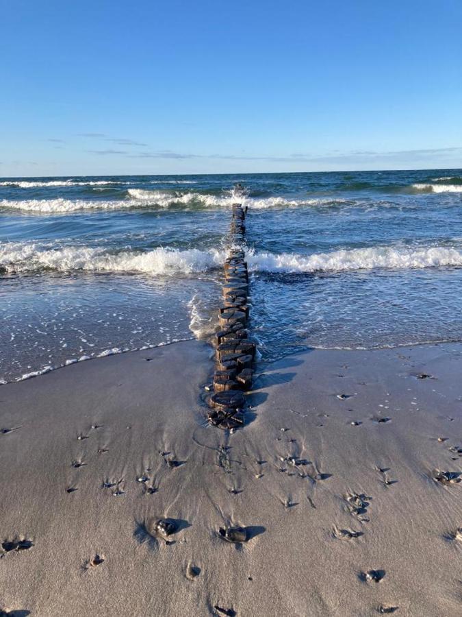Zingst Achtern Diek 12D Elly ภายนอก รูปภาพ